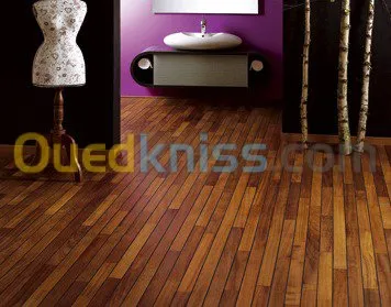 Placo Platre BiA13 & Parquets