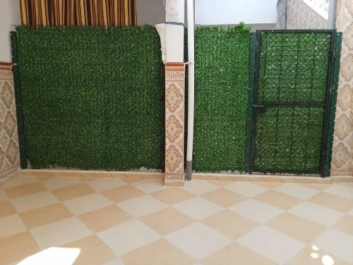 Location vacances Appartement Mostaganem Mezghrane
