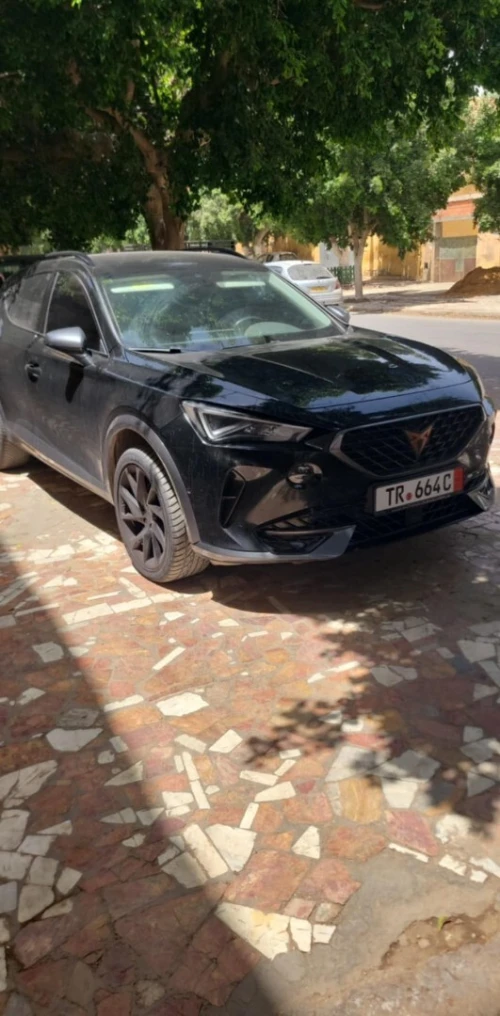 Cupra  Formentor 2022 