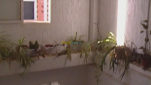Vente Appartement F4 Mostaganem Mostaganem