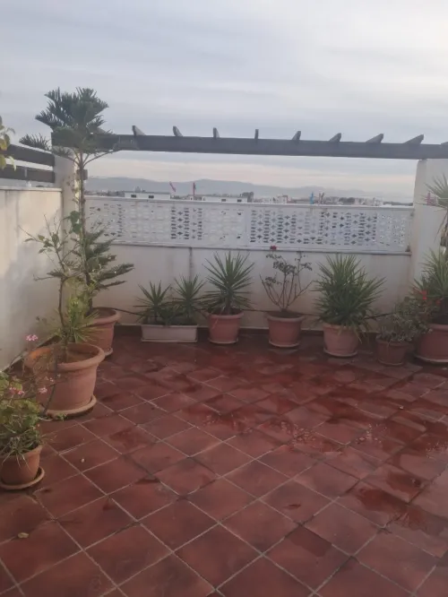 Vente Appartement Duplex F4 Boumerdès Ouled hedadj