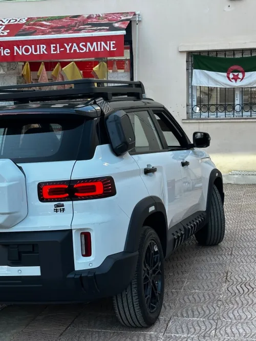 Geely Cobowy 2026 