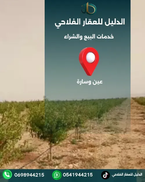 Vente Terrain Agricole Djelfa Bouira lahdab