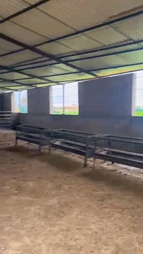 Vente Terrain Agricole Djelfa Ain oussara