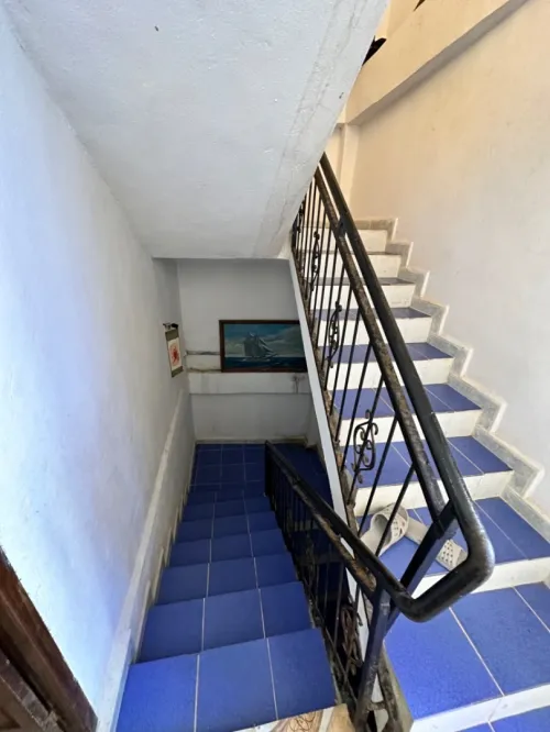 Vente Immeuble Tipaza Tipaza