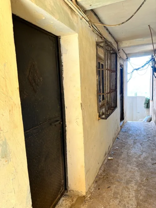 Vente Immeuble Tipaza Tipaza