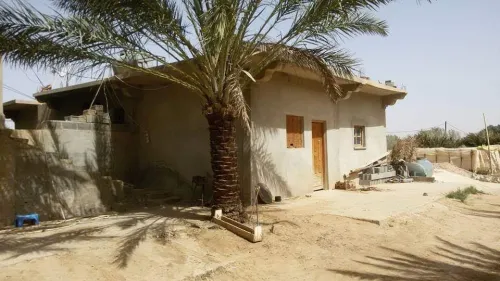 Vente Terrain Agricole Biskra Sidi okba