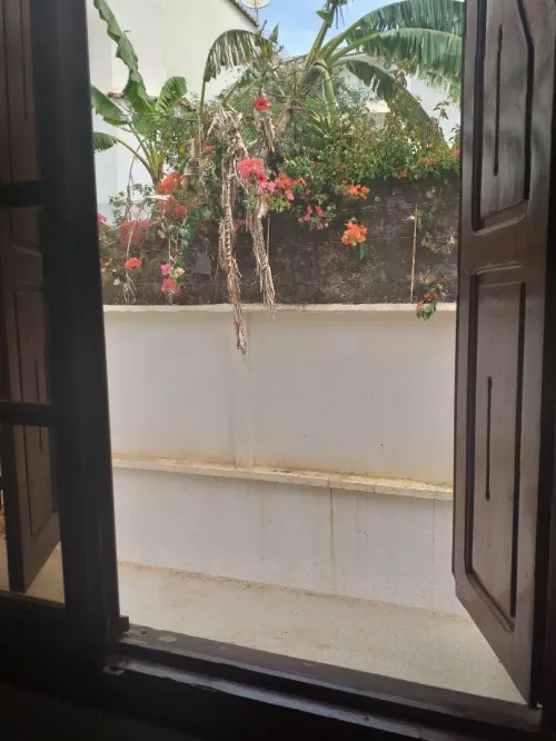 Vente Villa Alger Dely brahim