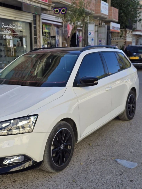 Skoda Fabia 2019 Monte Carlo