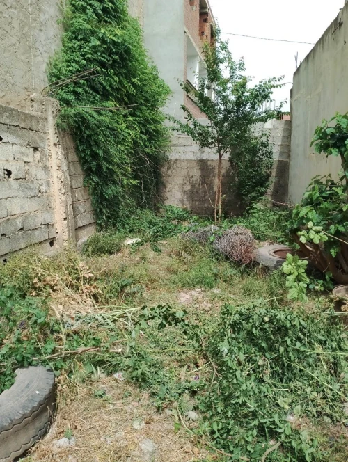Vente Terrain Boumerdès Hammedi