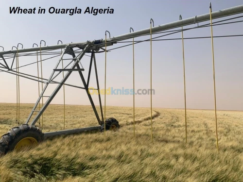 Pivots irrigation 