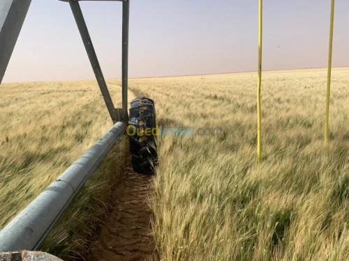 Pivots irrigation 