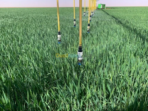 Pivots irrigation 