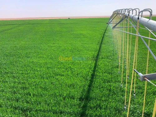 Pivots irrigation 