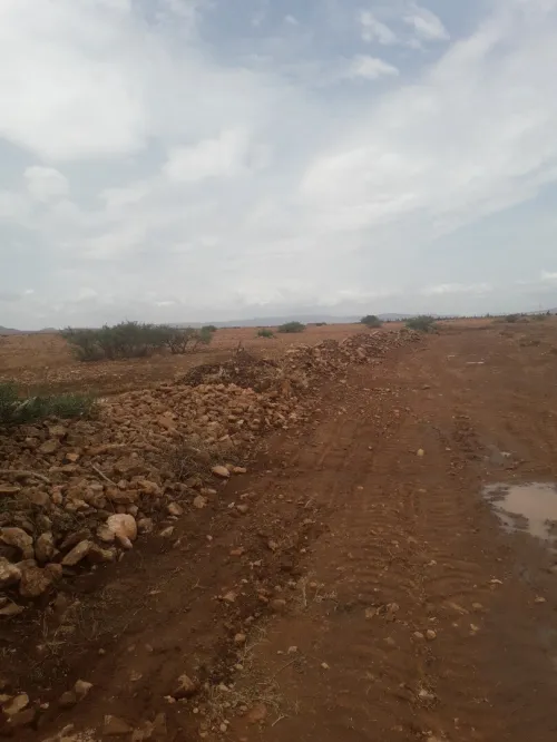 Vente Terrain Sidi Bel Abbès Sfissef