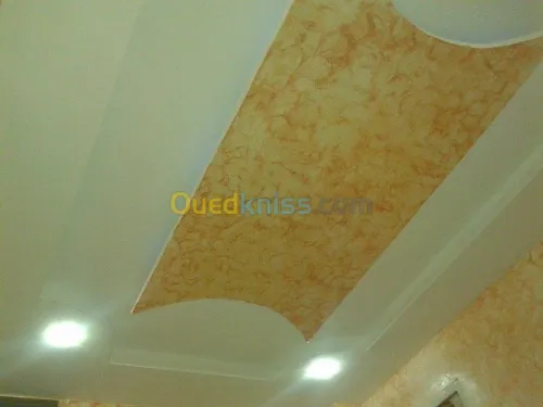  Décoration & Aménagement  placo   pvc