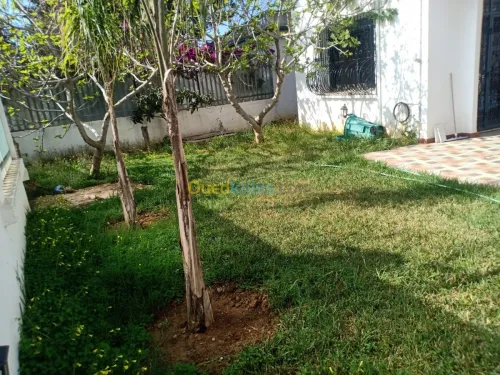 Vente Villa Alger Dely brahim