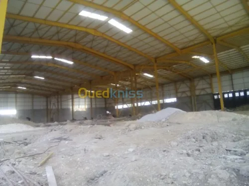 Location Hangar Blida Ouled el alleug