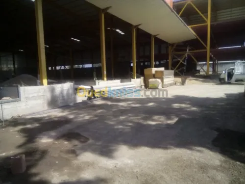 Location Hangar Blida Ouled el alleug