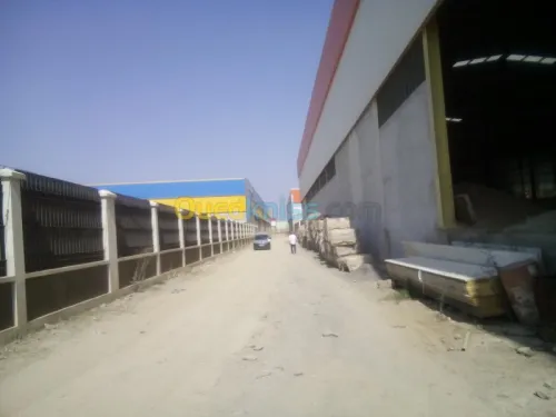 Location Hangar Blida Ouled el alleug