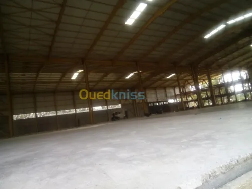 Location Hangar Blida Ouled el alleug