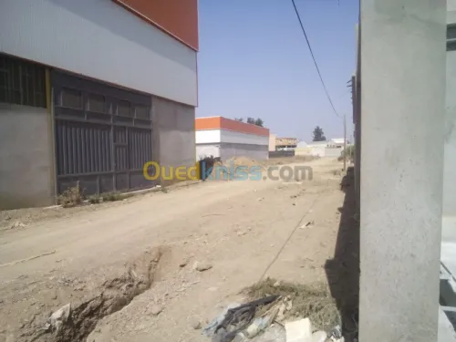 Location Hangar Blida Ouled el alleug