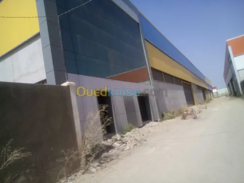Location Hangar Blida Ouled el alleug