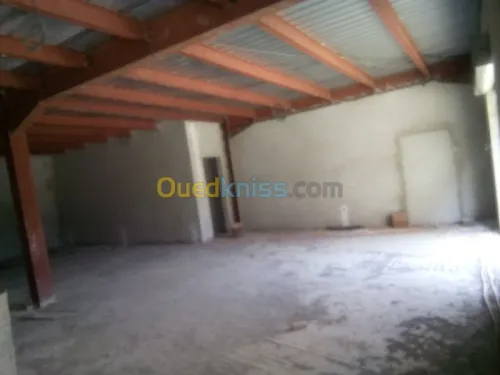 Location Hangar Blida Ouled el alleug