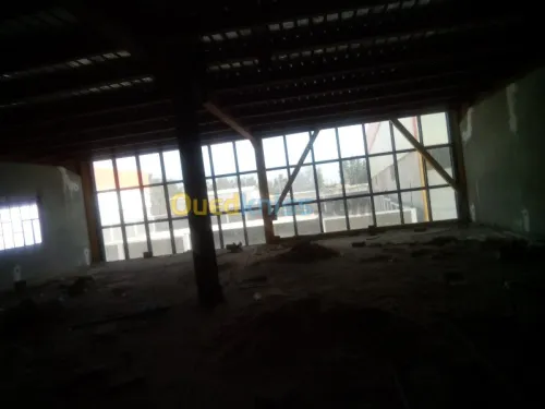 Location Hangar Blida Ouled el alleug