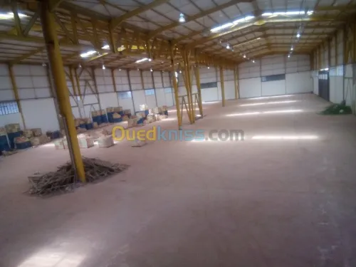 Location Hangar Blida Ouled el alleug
