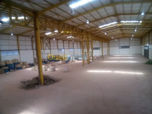Location Hangar Blida Ouled el alleug