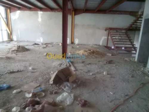 Location Hangar Blida Ouled el alleug