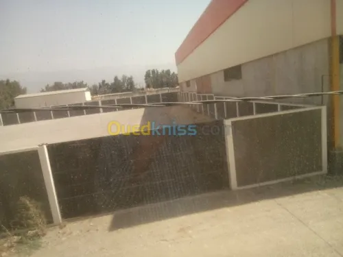 Location Hangar Blida Ouled el alleug