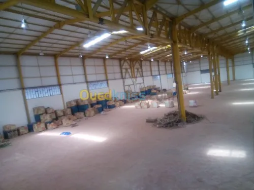 Location Hangar Blida Ouled el alleug
