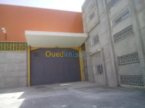 Location Hangar Blida Ouled el alleug