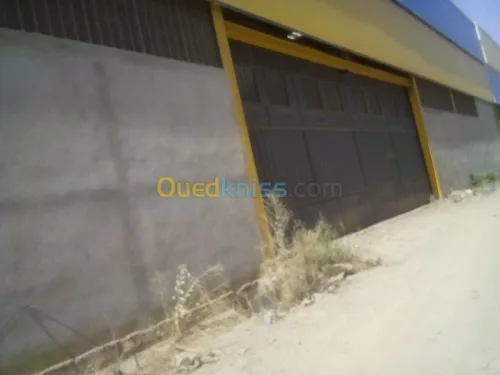 Location Hangar Blida Ouled el alleug