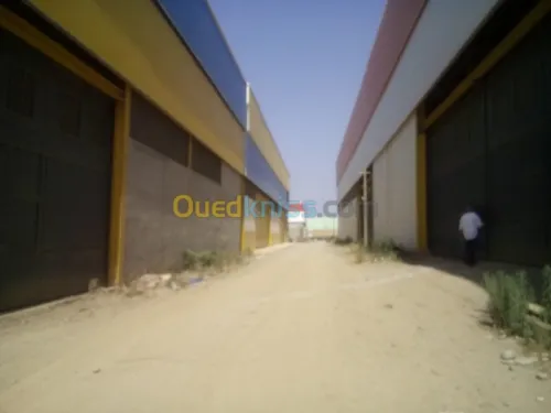 Location Hangar Blida Ouled el alleug