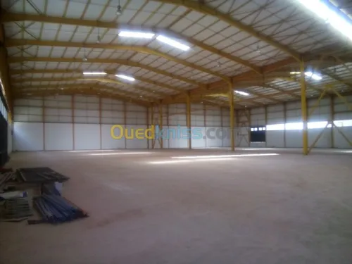 Location Hangar Blida Ouled el alleug