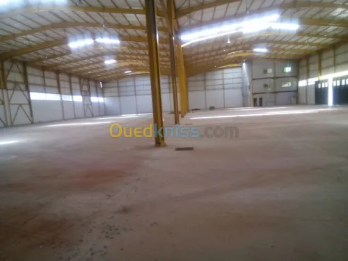 Location Hangar Blida Ouled el alleug