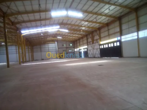 Location Hangar Blida Ouled el alleug
