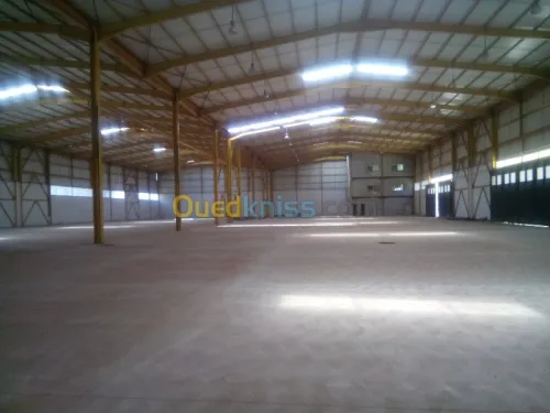 Location Hangar Blida Ouled el alleug