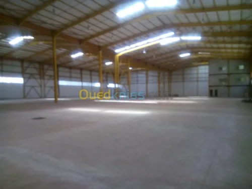Location Hangar Blida Ouled el alleug