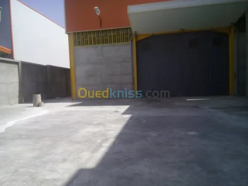 Location Hangar Blida Ouled el alleug