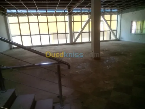 Location Hangar Blida Ouled el alleug