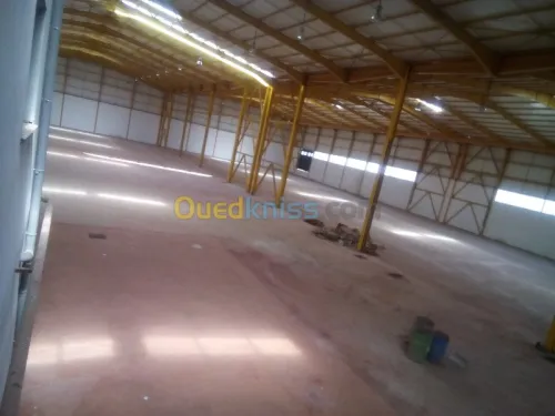 Location Hangar Blida Ouled el alleug