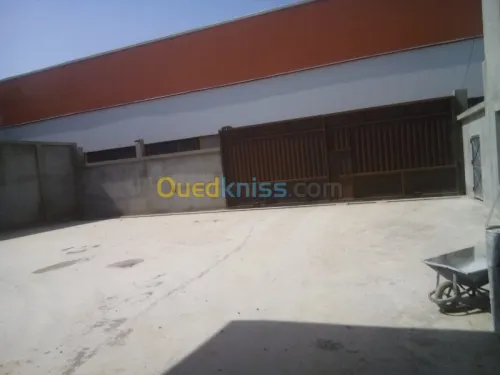 Location Hangar Blida Ouled el alleug