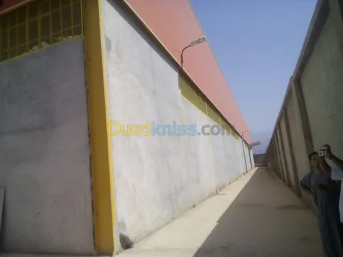 Location Hangar Blida Ouled el alleug