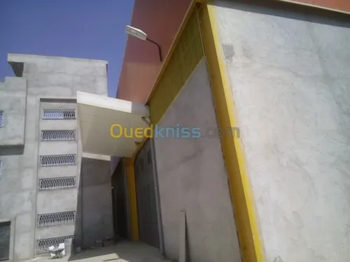 Location Hangar Blida Ouled el alleug