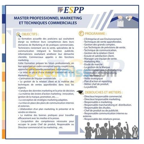 Master Professionnel Marketing 