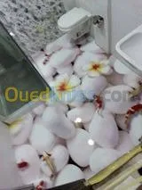epoxy floor